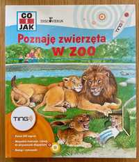 TING: Poznaj zwierzęta w zoo