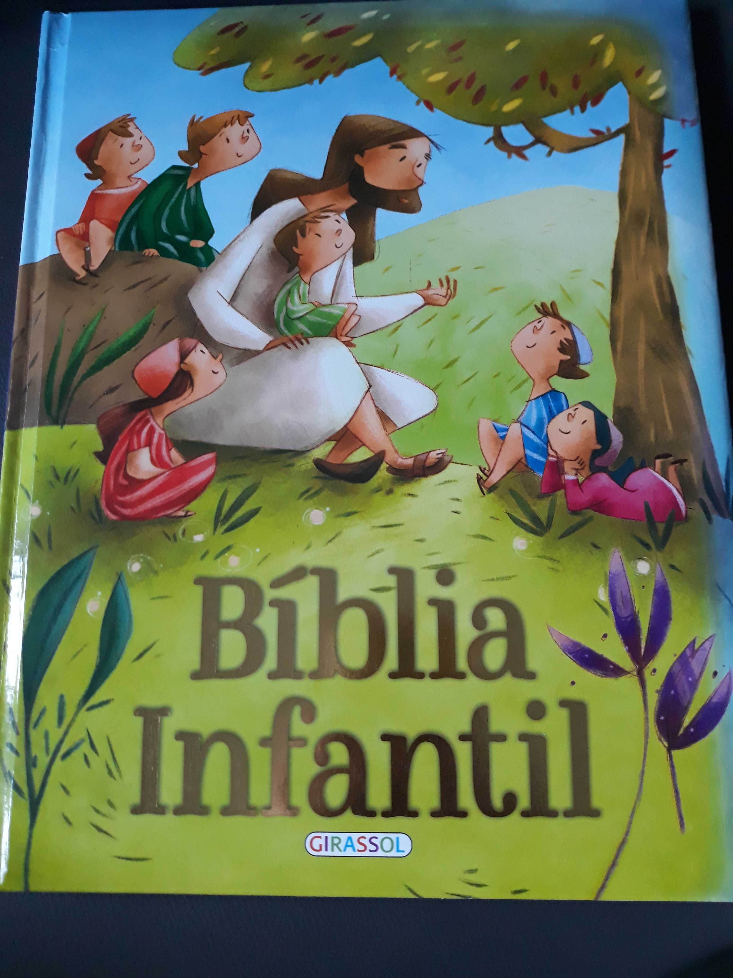 Bíblia Infantil Ilustrada - NOVA