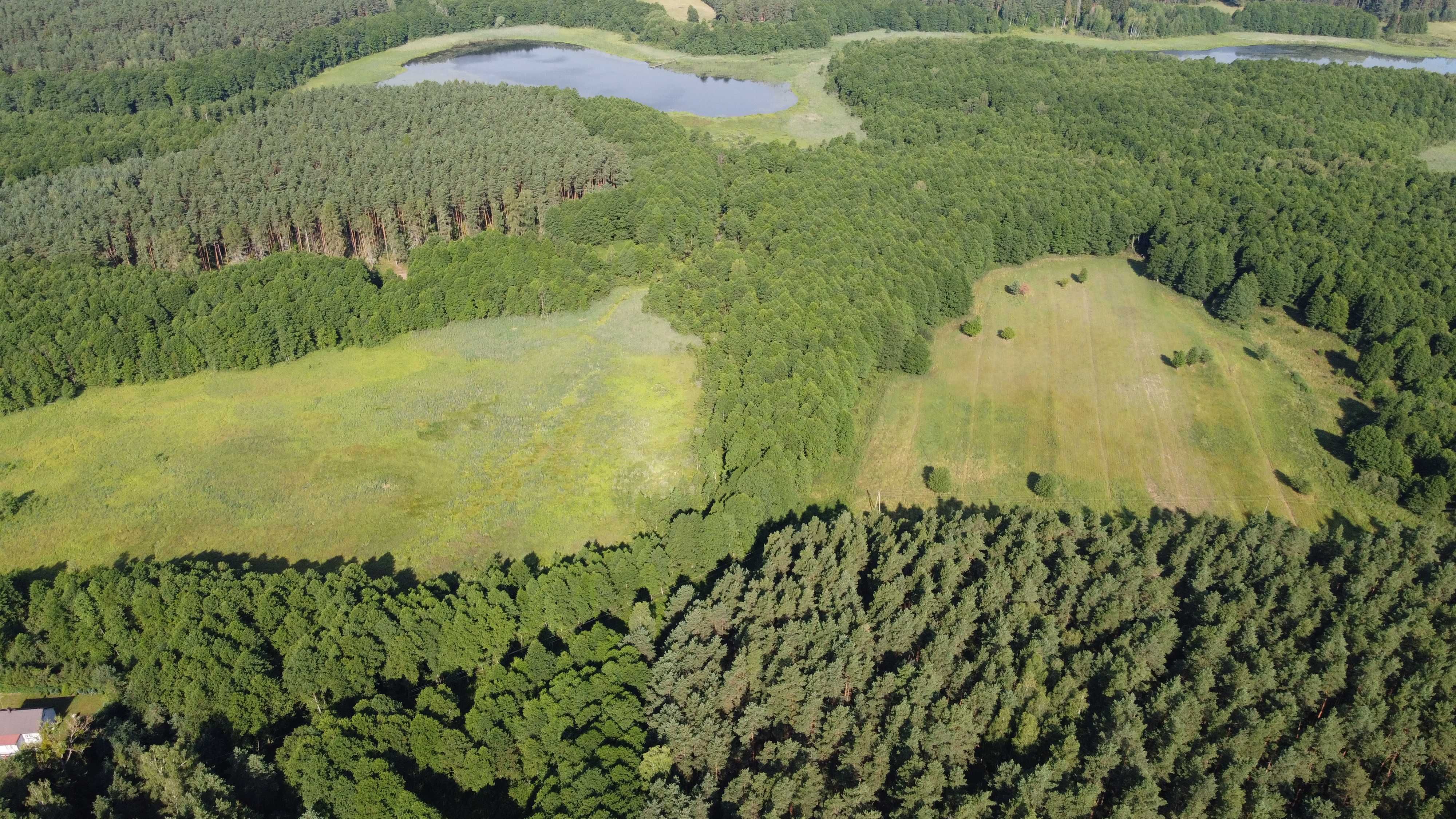 Działka w m. Likusy, 300m od linii brzegowej jeziora, Mazury.