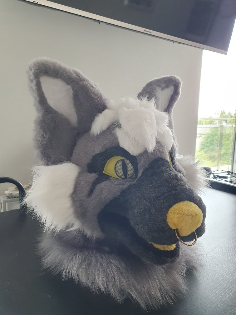 Fursuit partial Wilk pies postać furry