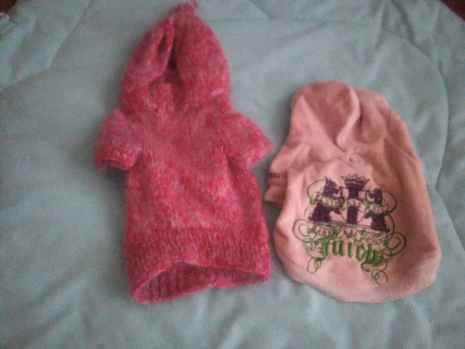 Одежда и аксессуары для собак