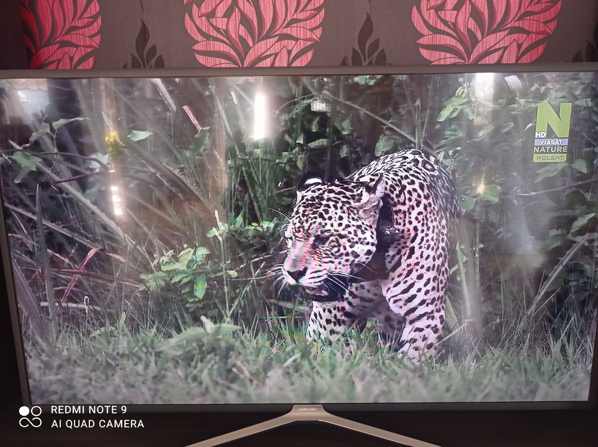 Sprzedam telewizor 49cal Samsung piękne kolory.