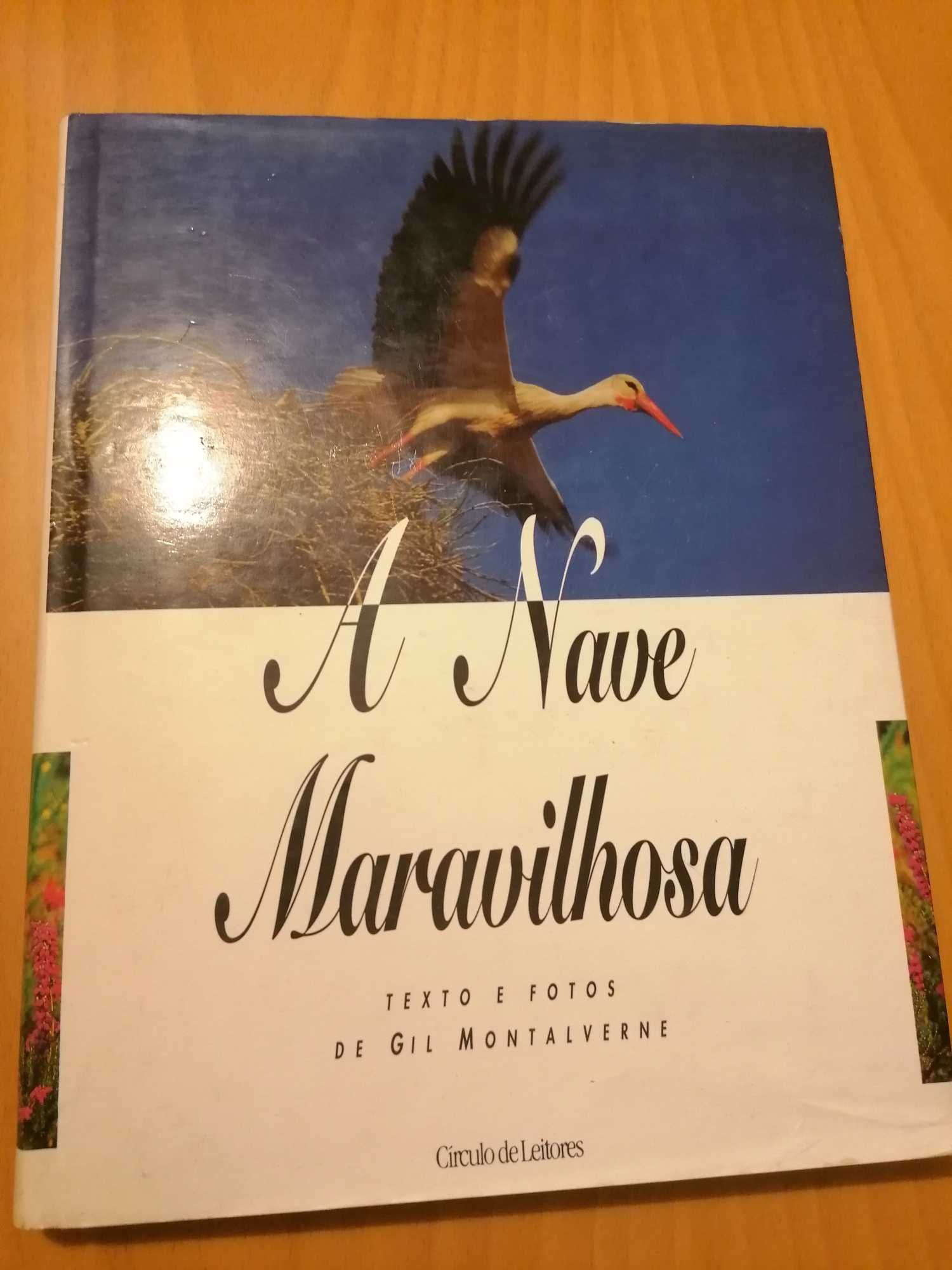 A nave maravilhosa // Gil Montalverne