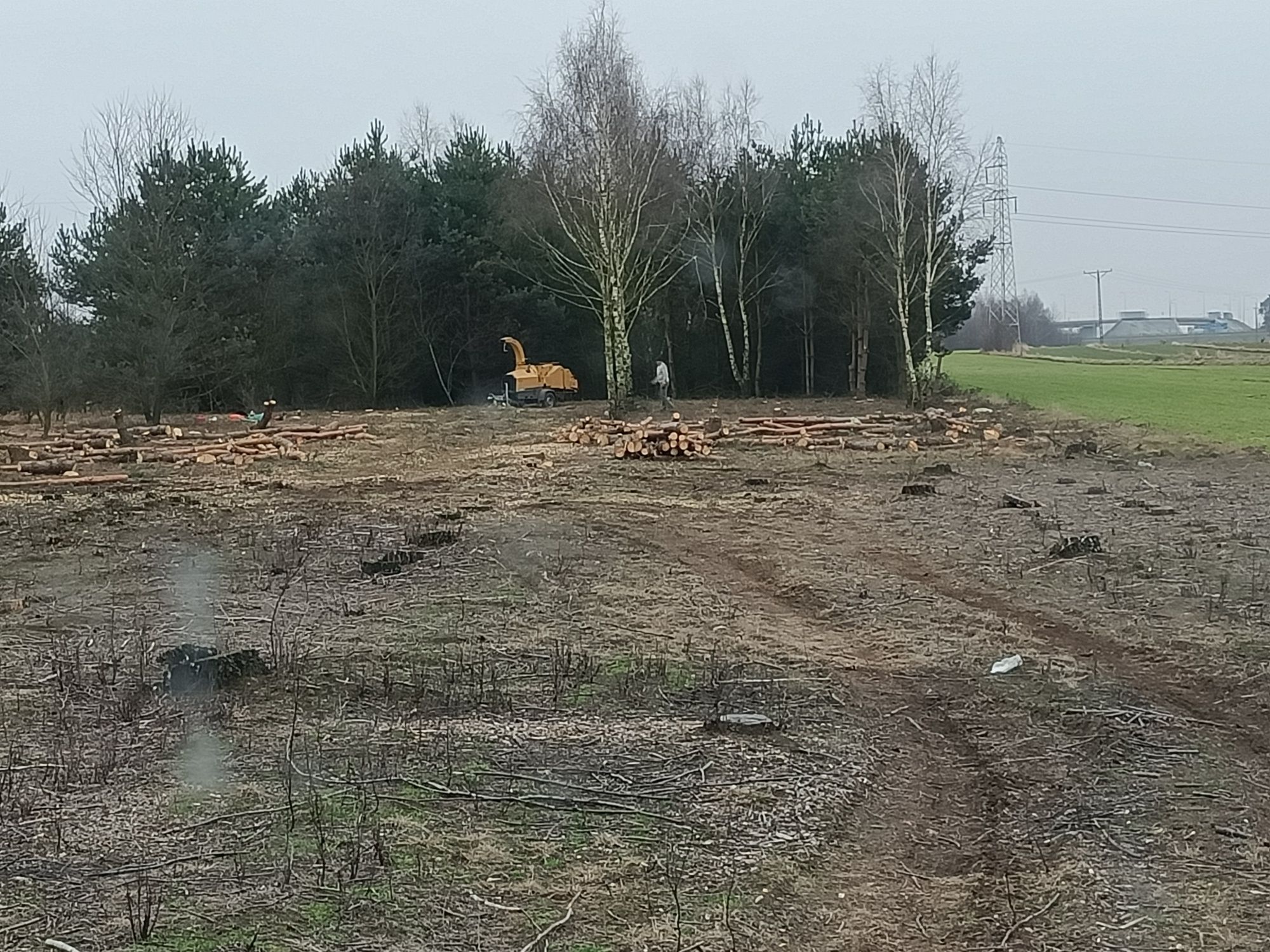 Uslugi rebakiem,wycinka,frezowanie karp. rozdrabnianie utylizacja