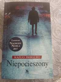 Niepocieszony, Kazuo Ishiguro