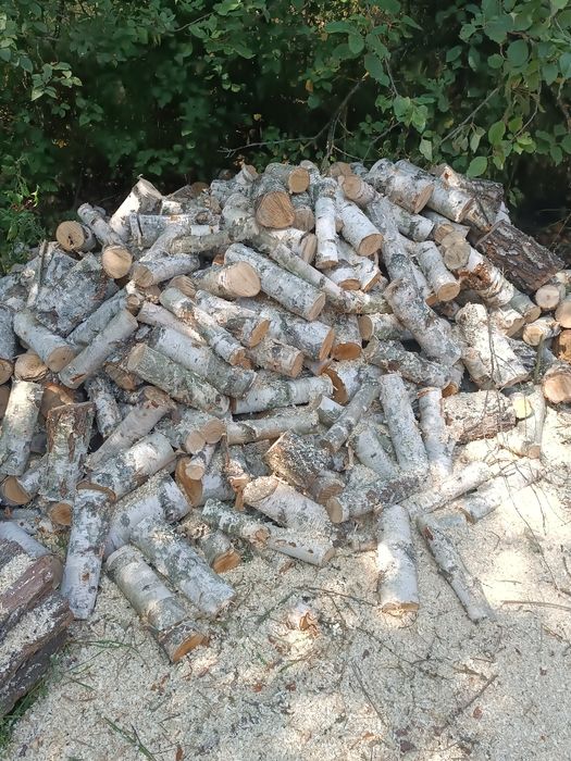 Дрова для отопления(дрова для опалення)Сосна,берза,акація
