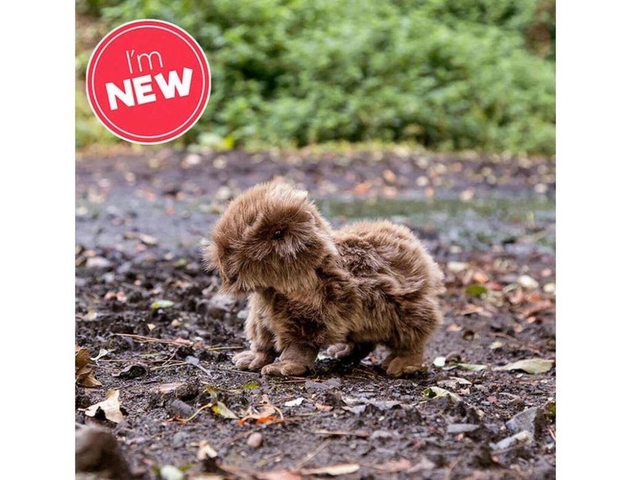 Kapibara ,233x290 mm