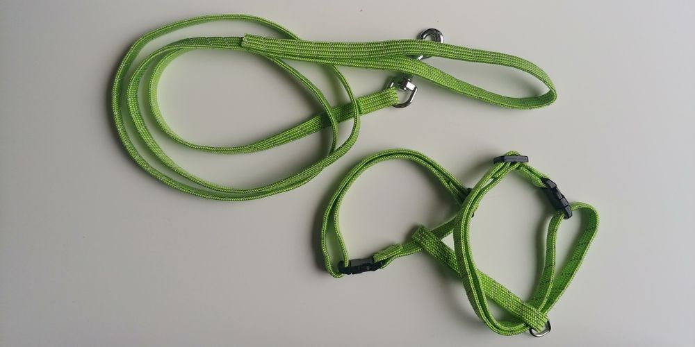 Smycz dla kota + nożyczki do pazurków