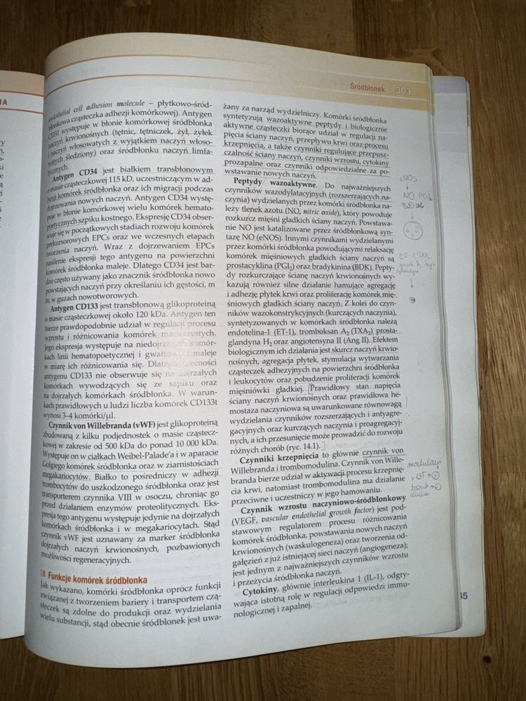 Seminaria z cytofizjologii Kawiak Zabel