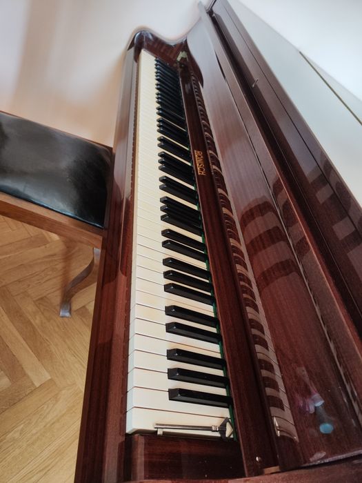 Рояль кабінетний Ronish