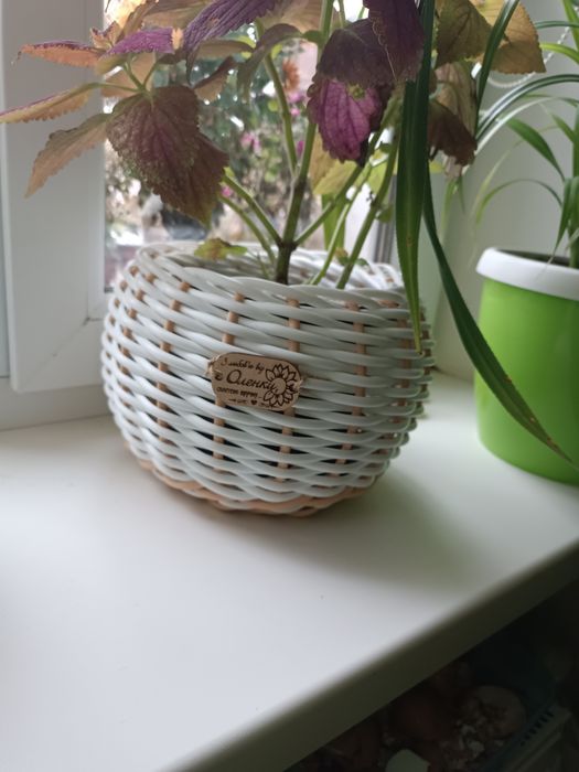 Вазони, кашпо з ротангу, власного плетіння