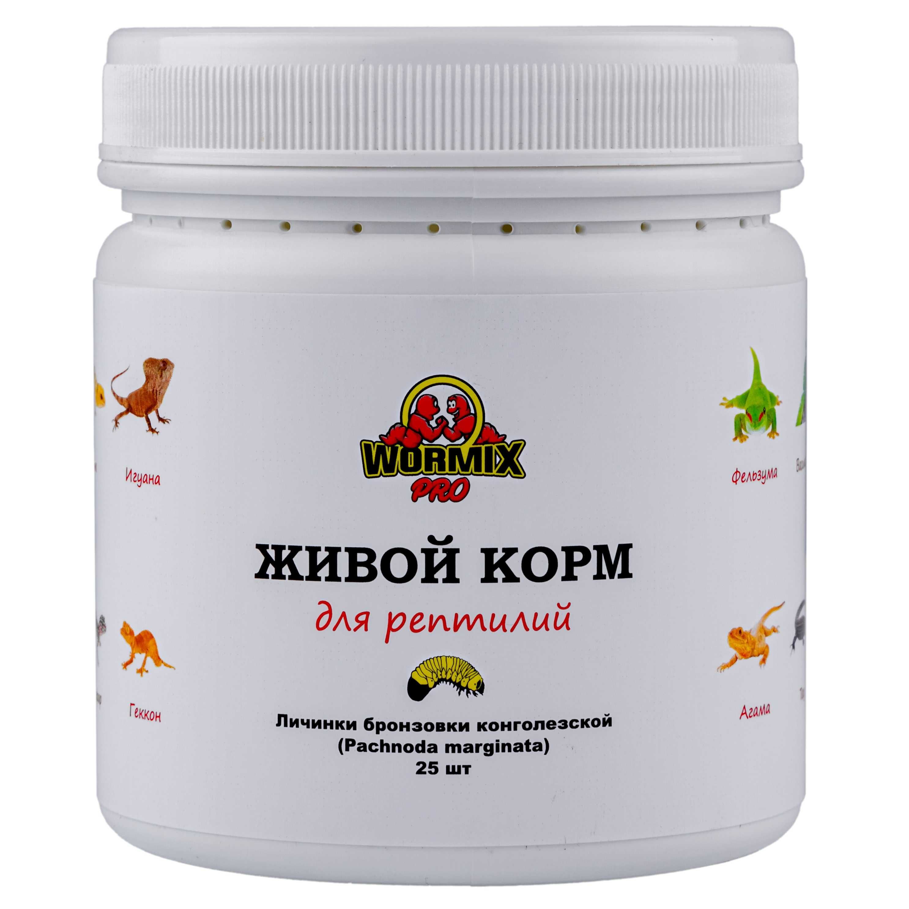 Живой корм - Бронзовка конголезская Pachnoda marginata