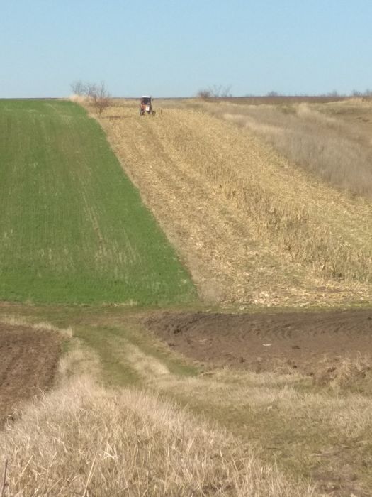 Продам земельну ділянку. Пай 4.6га