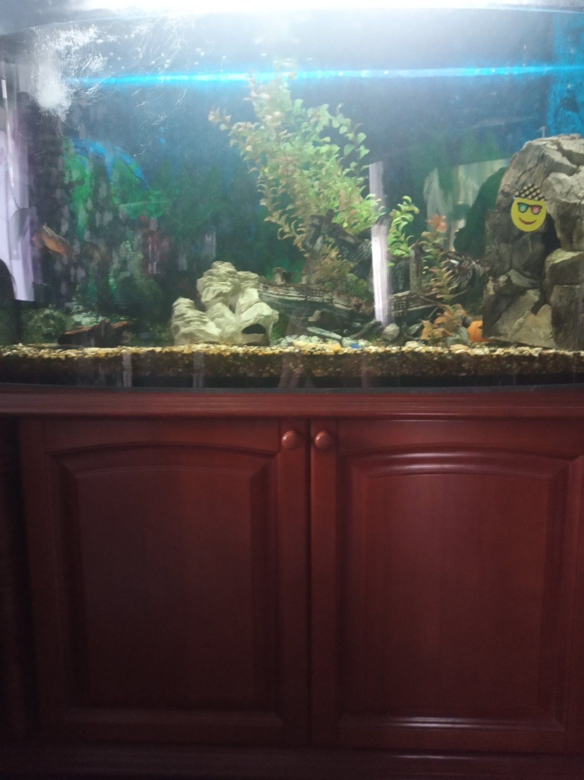 Продам акваріум на 370 літрів
