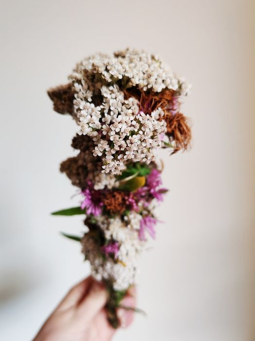 Kadzidło słowiańskie aster + krwawnik | Smużka - oczyszczanie