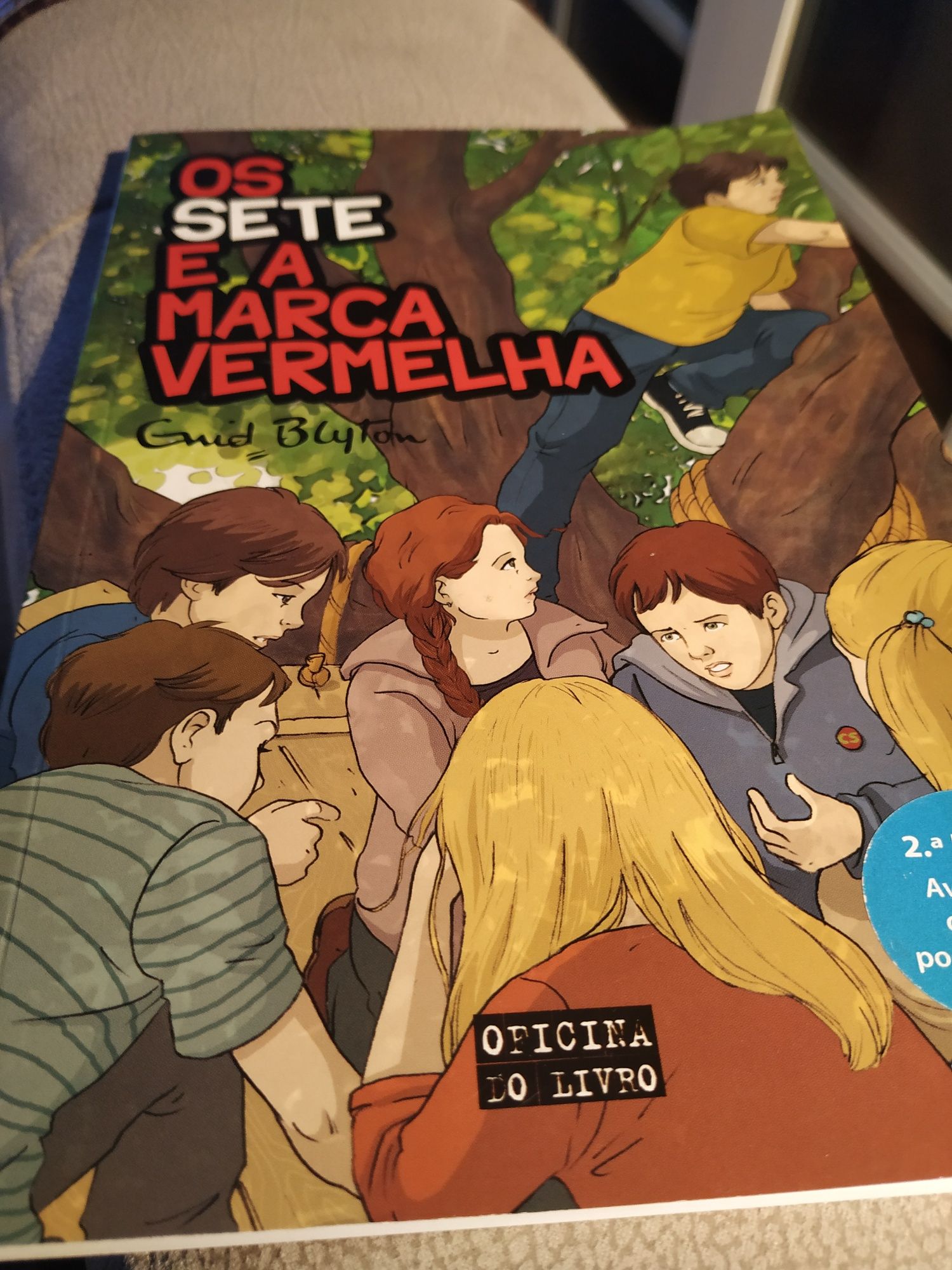 Livro juvenil Os Sete