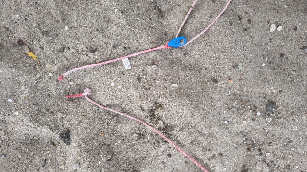 Latawiec Kitesurfing north Evo 10 m - używany