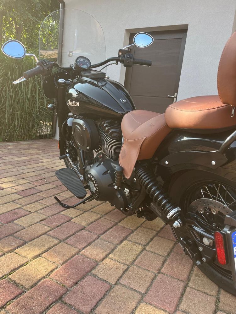 Indian chief dark horse