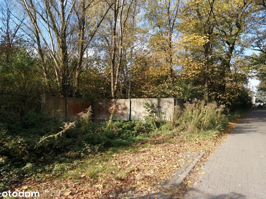 Puszczykowo, przy Warcie