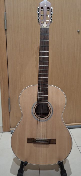 Viola de Fado APC