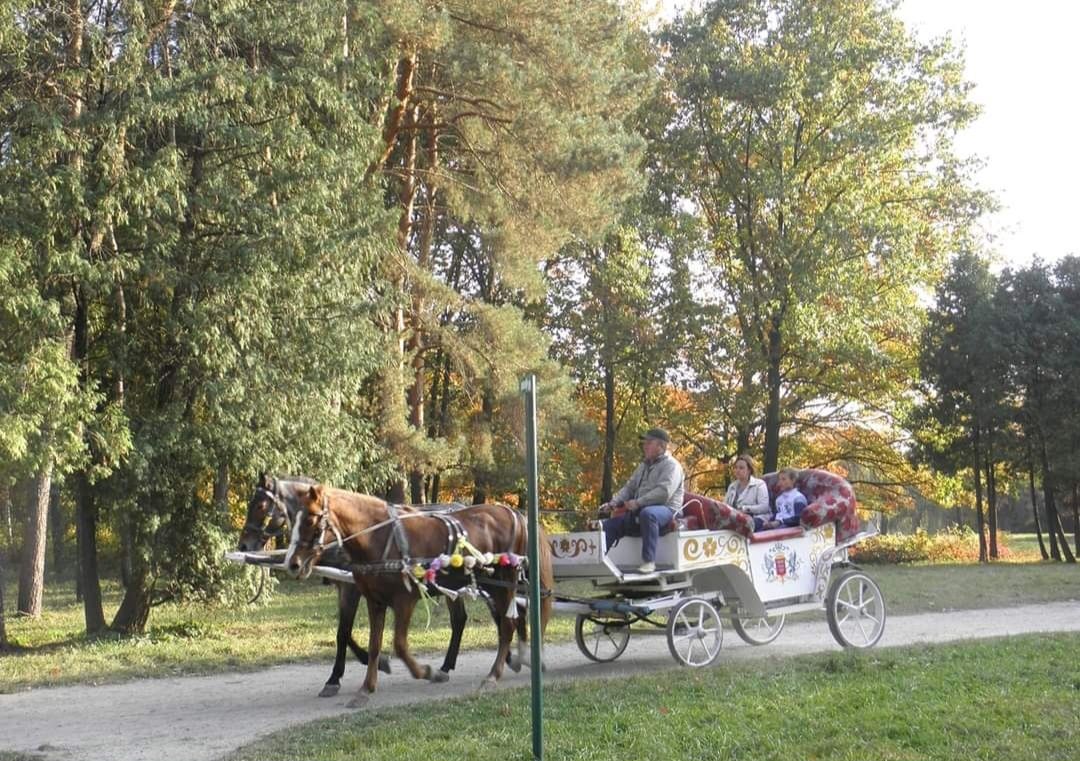 Продам парокіну карету та бричку.