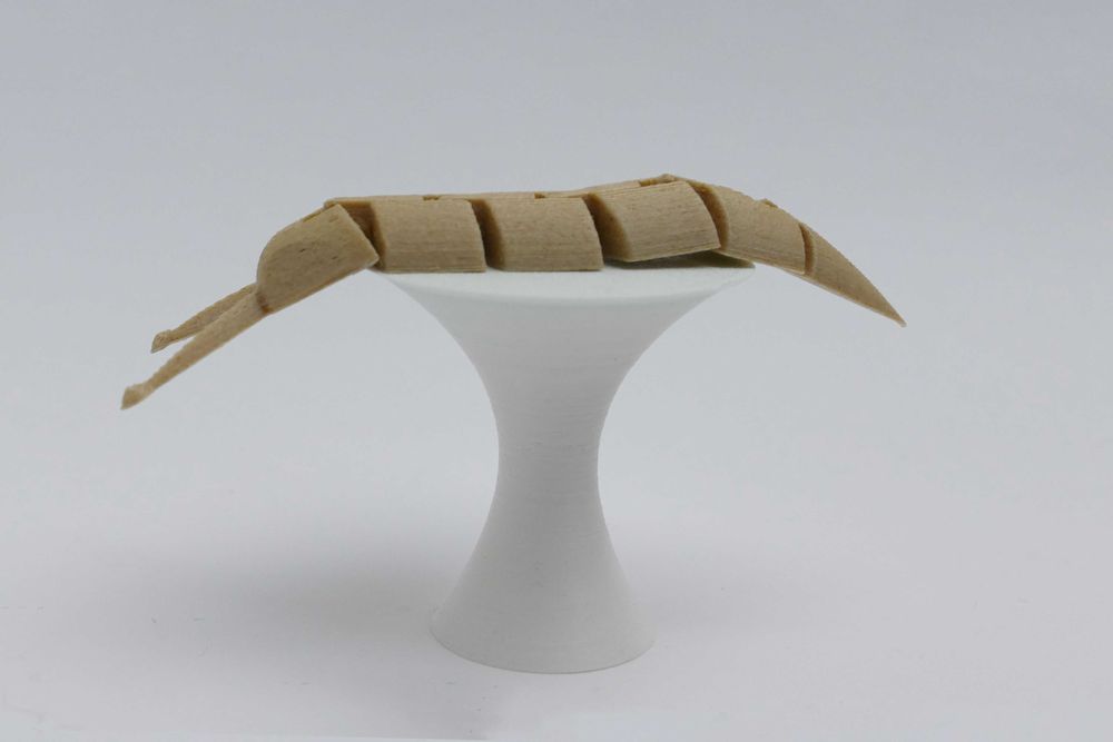 Lesma Articulada em Pasta de Madeira - Impressão 3D