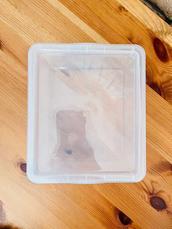 Pojemnik organizer transparenty organizer do przechowywania 20/17cm