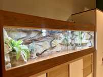 Terrarium 150 x 50 x 50 z wyposażeniem