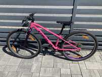 Rower TREK WAHOO 26”