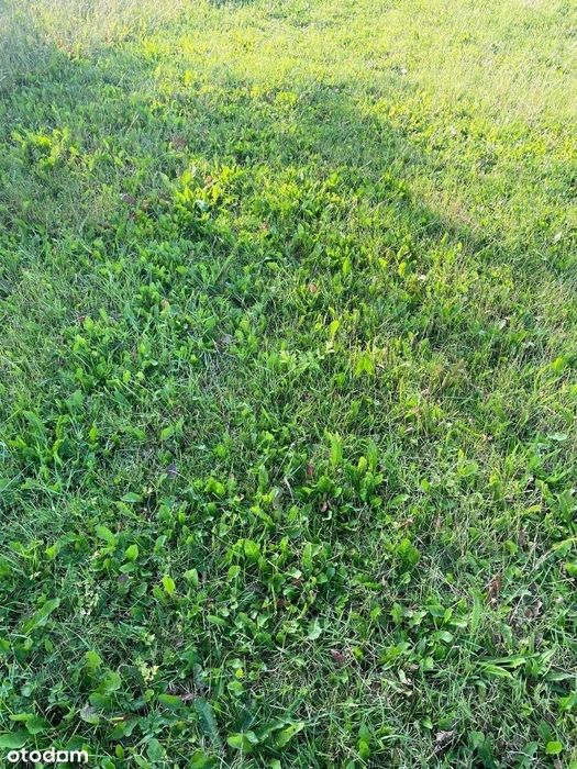 Jarosławiec sprzedam działkę budowlaną 500m2