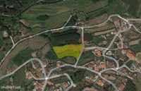Terreno rústico com 5.225 m2 m São Jorge de Vizela, Felgueiras