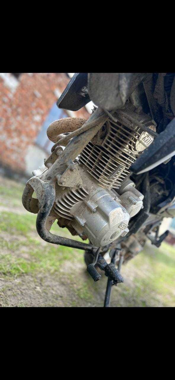 Viper V250L крос