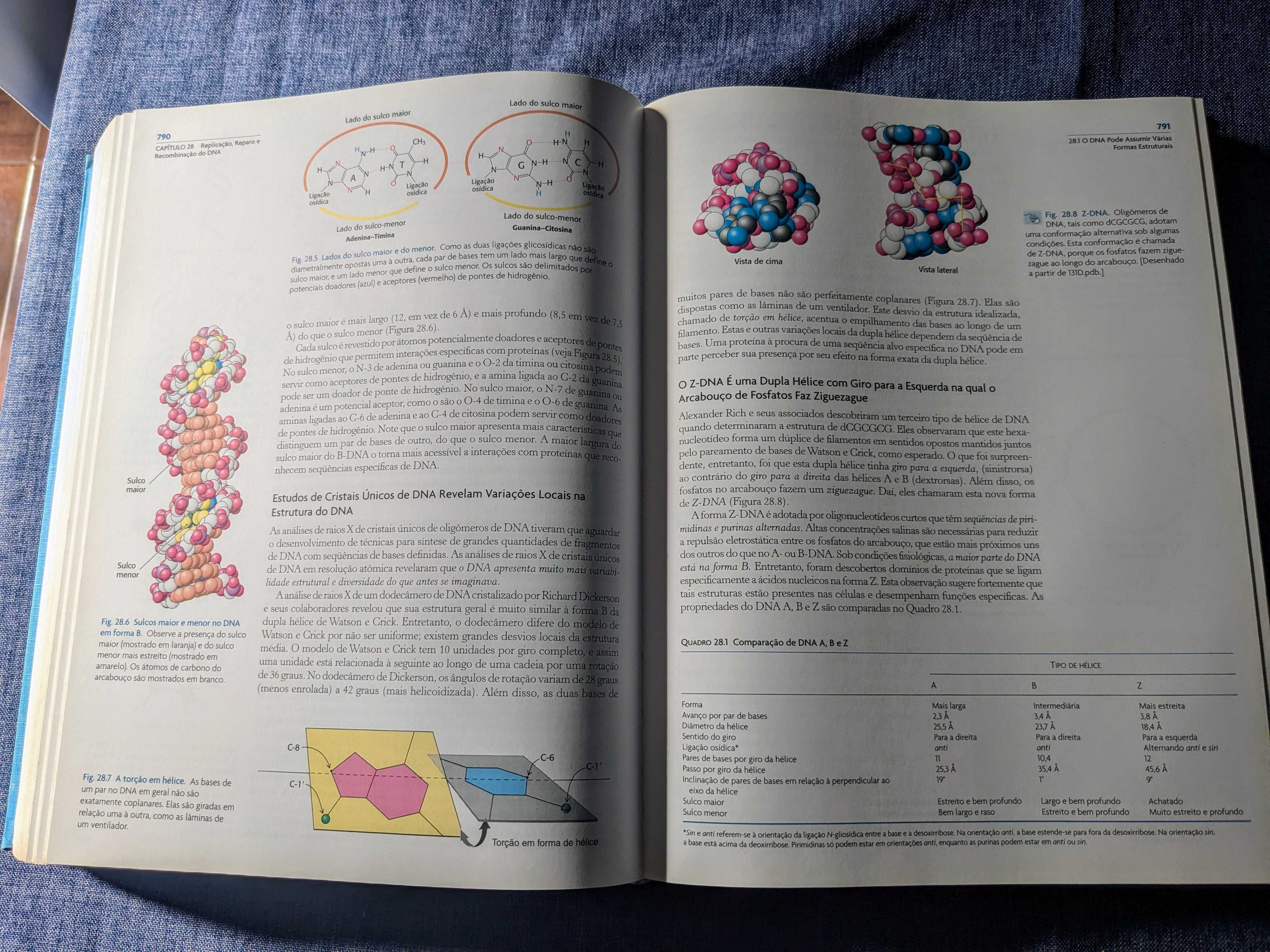 Stryer, Bioquímica, 6ed Português