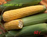 Насіння кукурудза Цукрова 50г ЕКО сахарная кукуруза