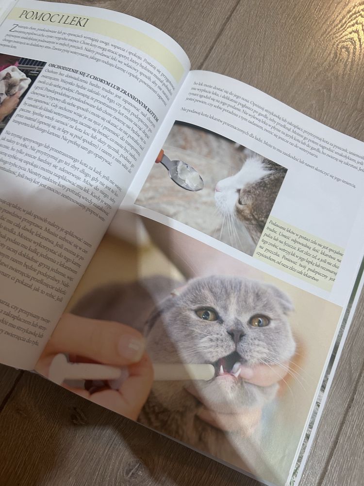 Wielka Encyklopedia Kotów