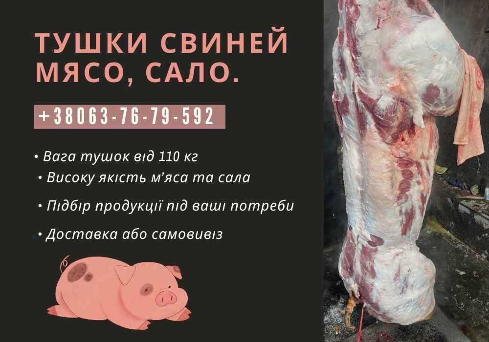 Тушки свиней. Свинина (М'ясо, Сало). ВИГІДНО! Телефонуйте!