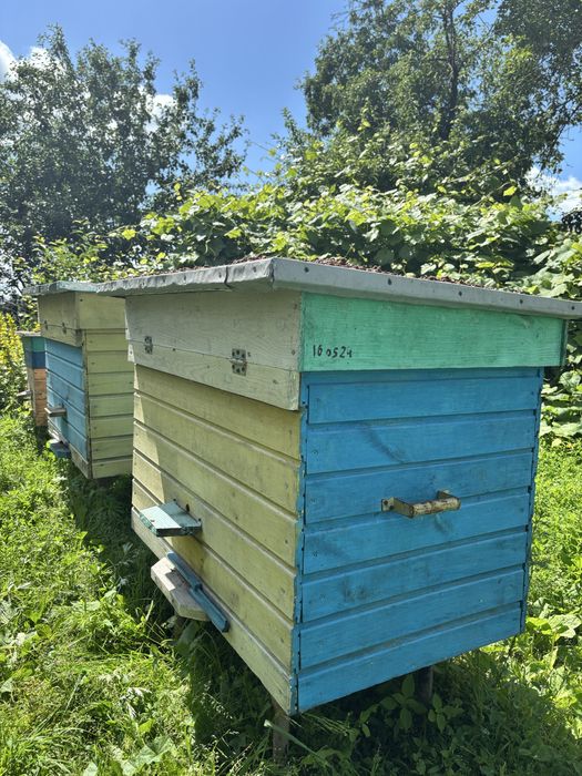 Продам вулики для бджіл