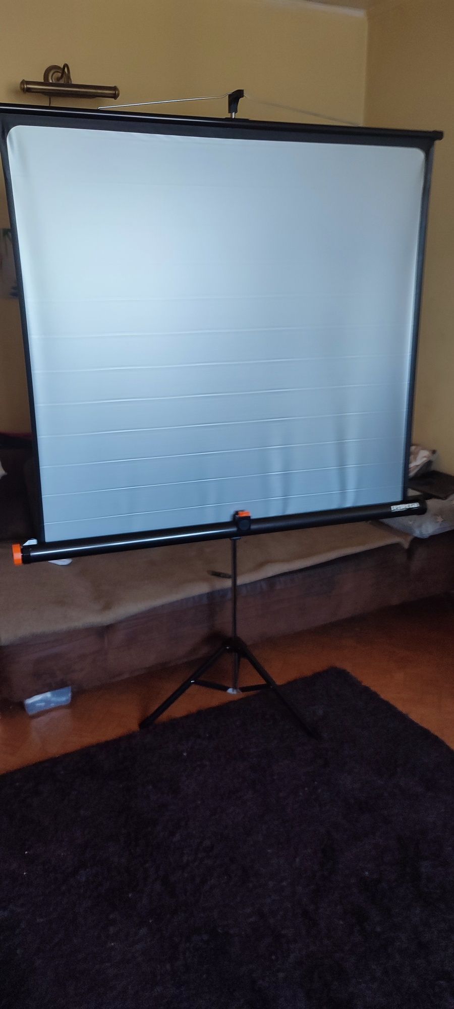 Ekran Projekcyjny Na Statywie 125x125 Reflecta Superlux