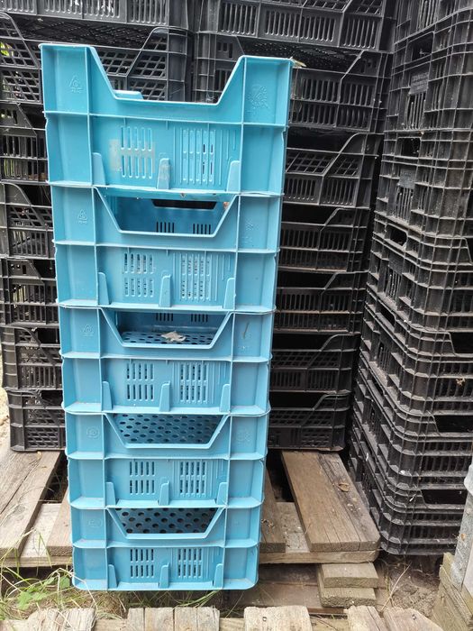 Skrzyneczki, skrzynki plastikowe CASI po pomidorach