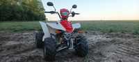 Quad Bashan 200 Bez homologacji