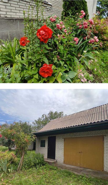 Продаж Будинку (97м2 +25 сот) Вінницькі Стави, Гребінки, Біла Церква