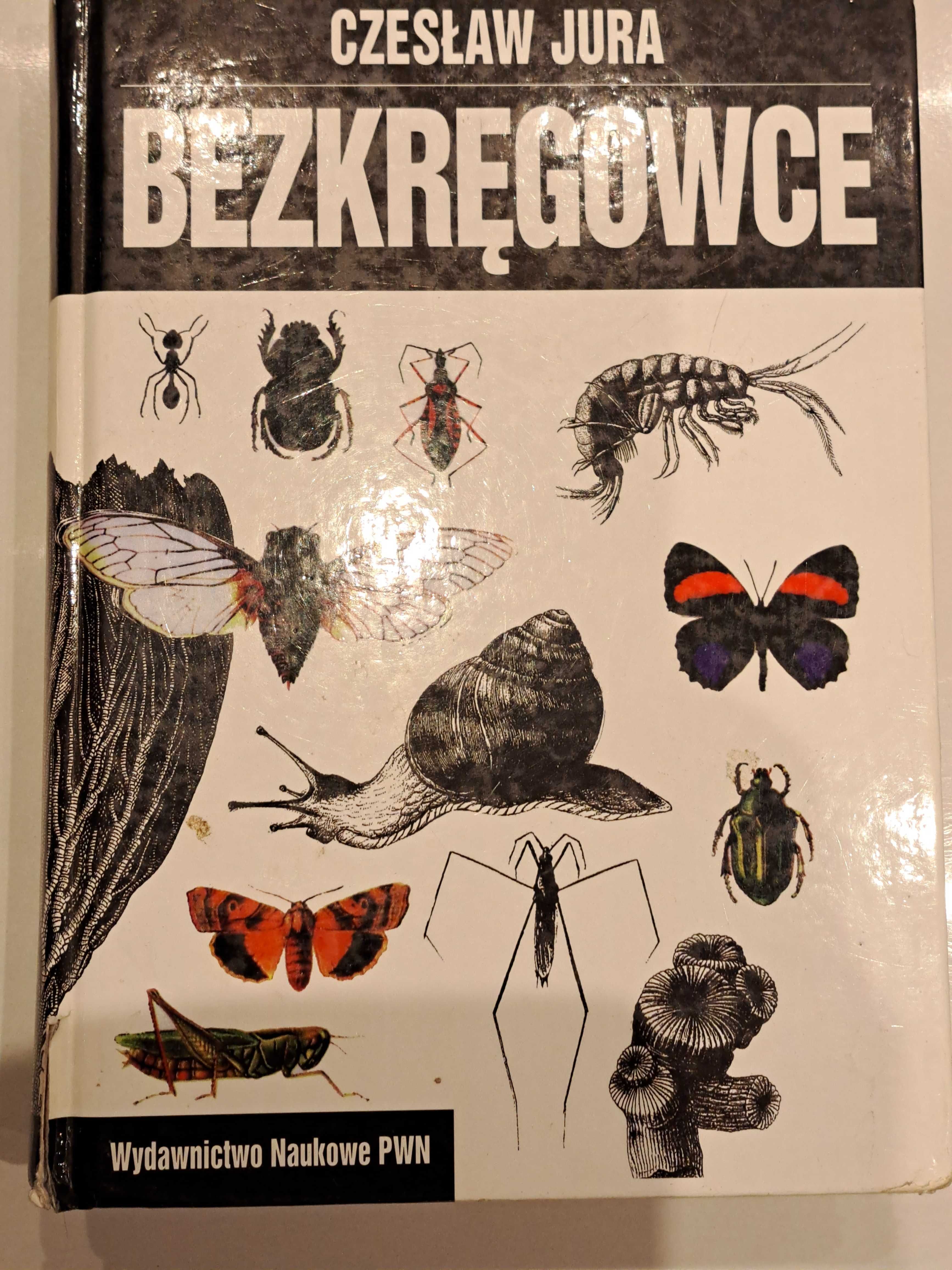 Zoologia Biologia BEZKRĘGOWCE Czesław Jura