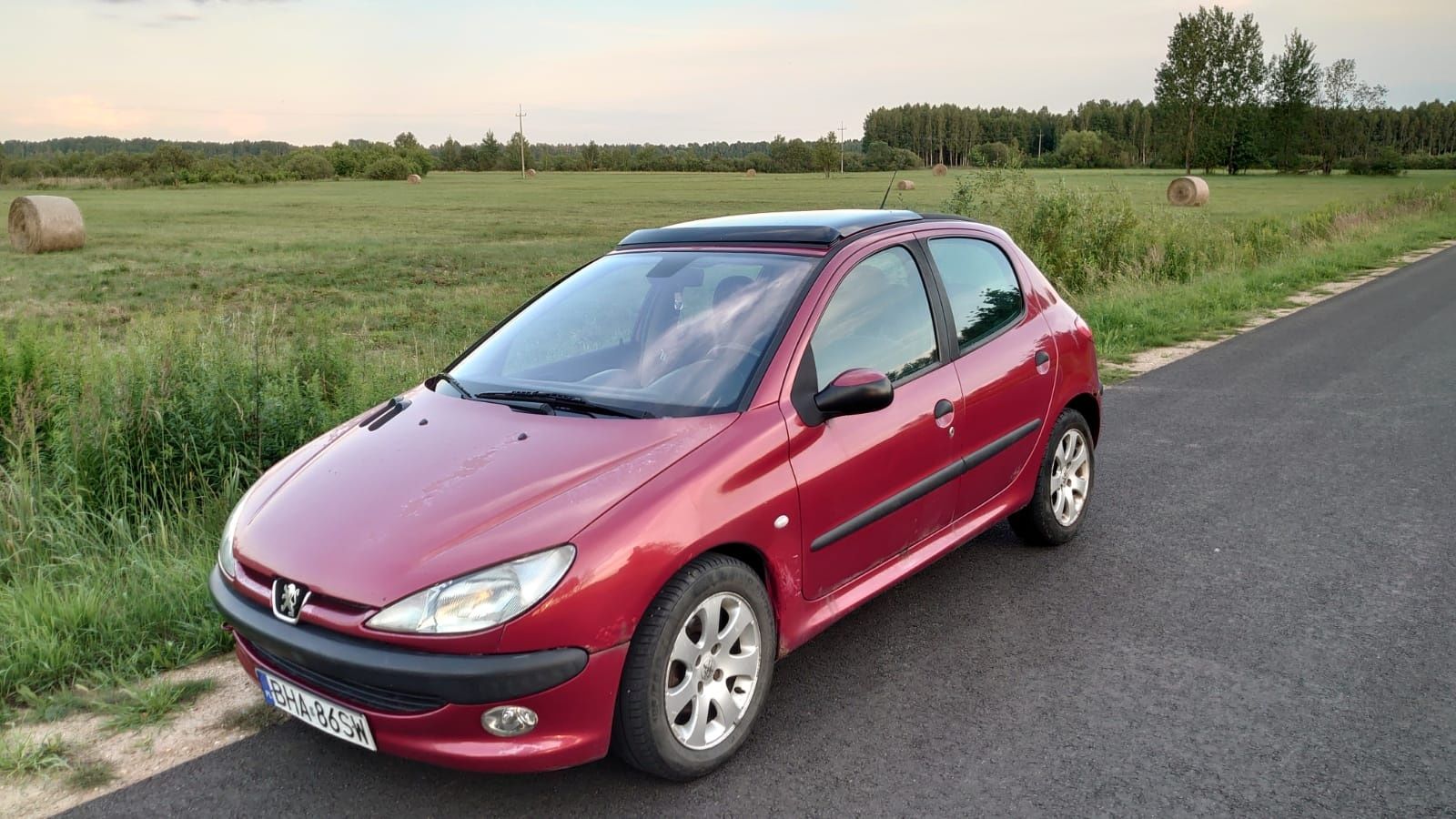 PEUGEOT 206 2.0 HDI - 90 KM