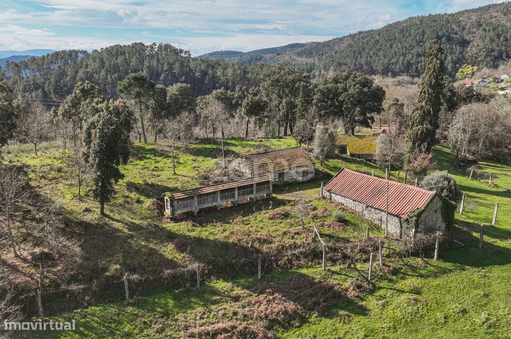 Quinta com 74.400 m2 em Penalonga, Ribeira de Pena - Vila Real