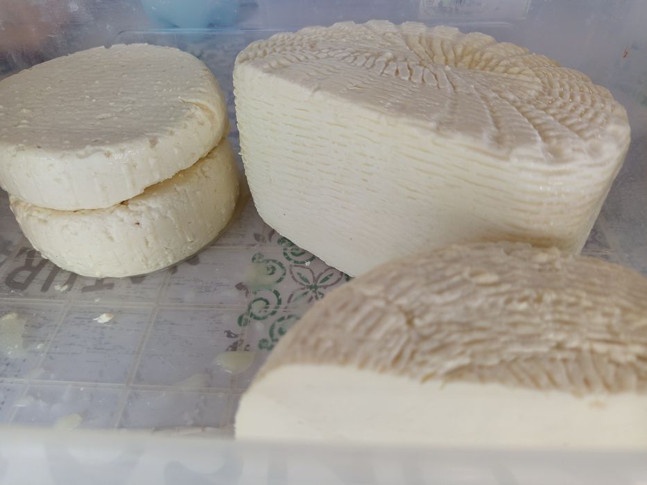 Козиний сир, крафтове сироваріння та інша продукція з козиного молока