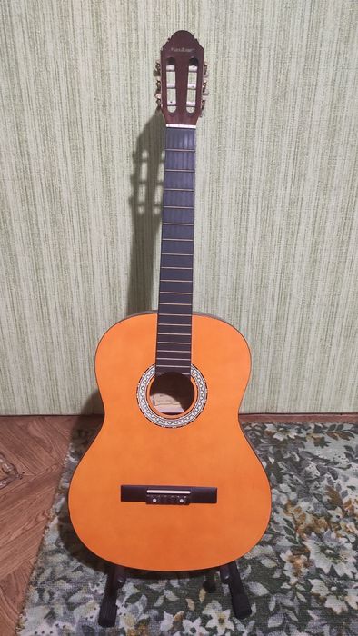 Продажа гитар (Александрия и по Украине)