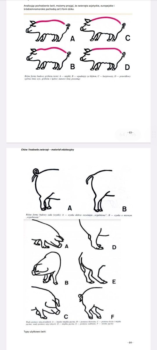 Notatki TECHNIK WETERYNARII 2024 Chów i hodowla zwierząt ANATOMIA
