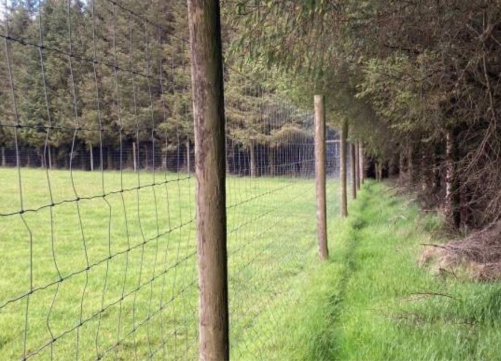 Arborysta wycinka drzew na wysokosci i nie tylko pielęgnacja drzew