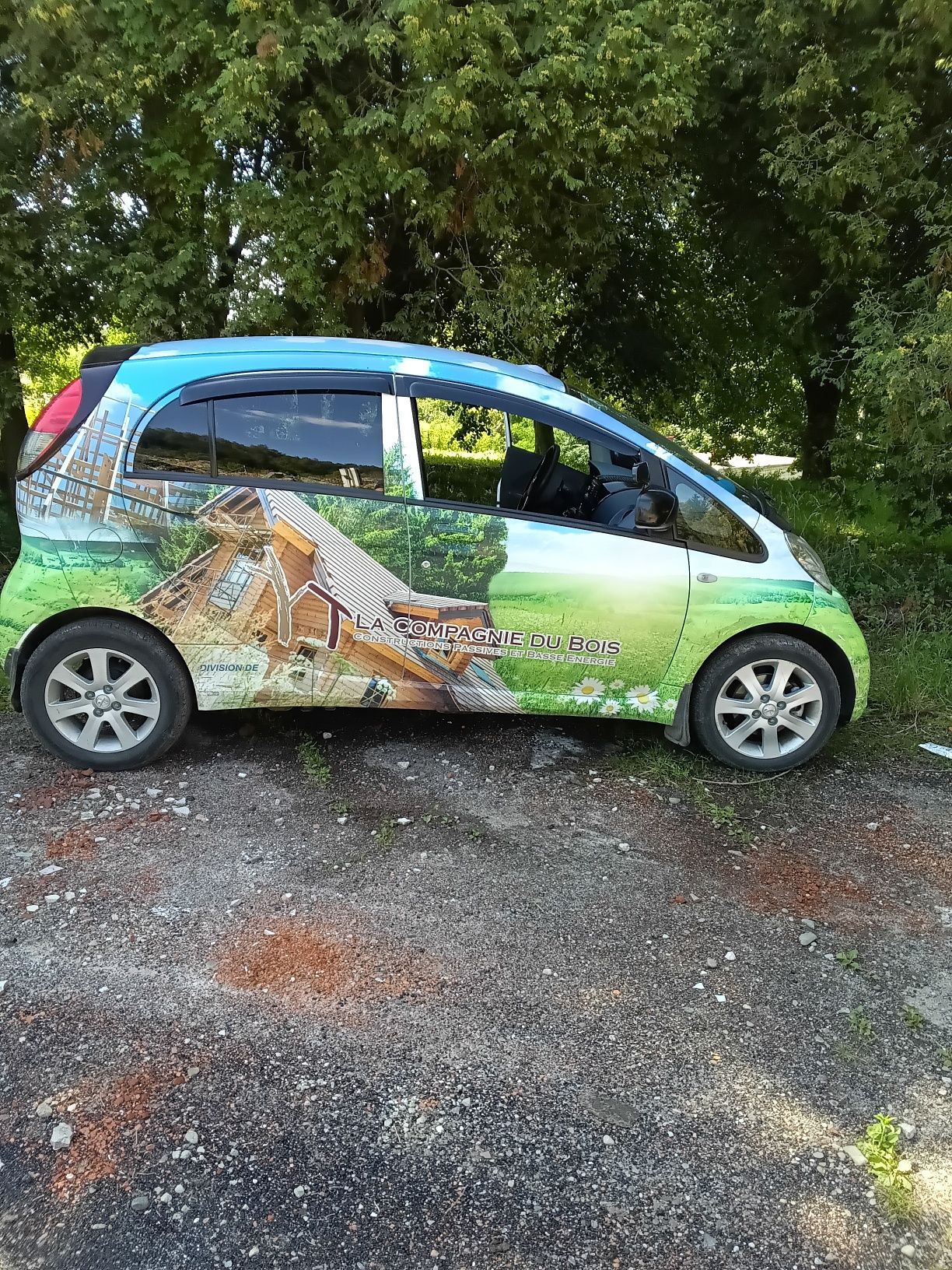 Peugeot ION 2012