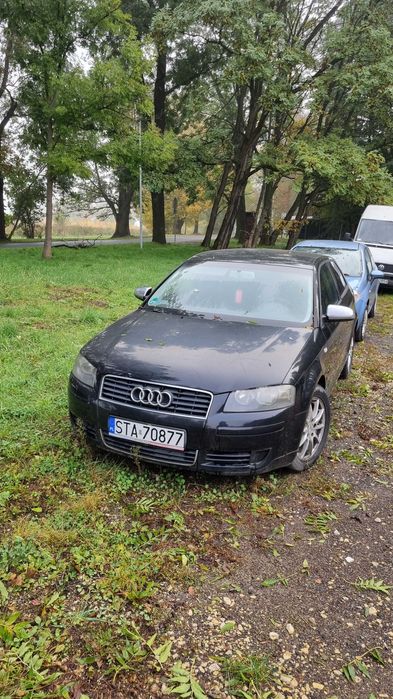 Audi A3 8P 2003r 1.6benzyna odapala jezdzi